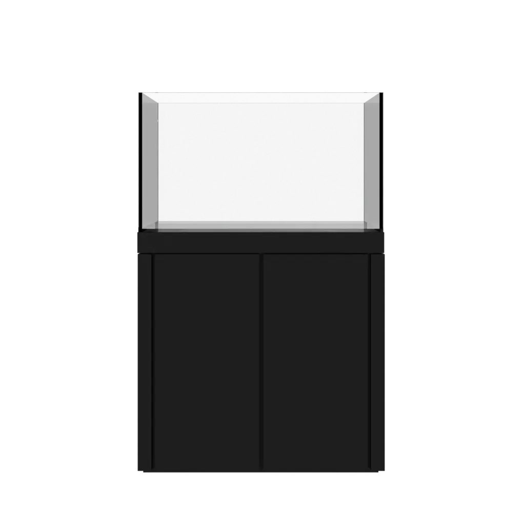 Crystaline 3620 Show Combo (Black)